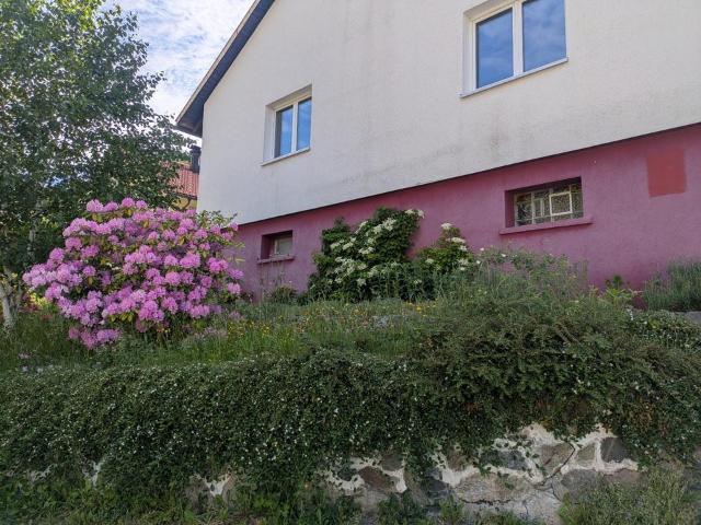 Haus kaufen in Todtnau (Kernstadt), Todtnau
