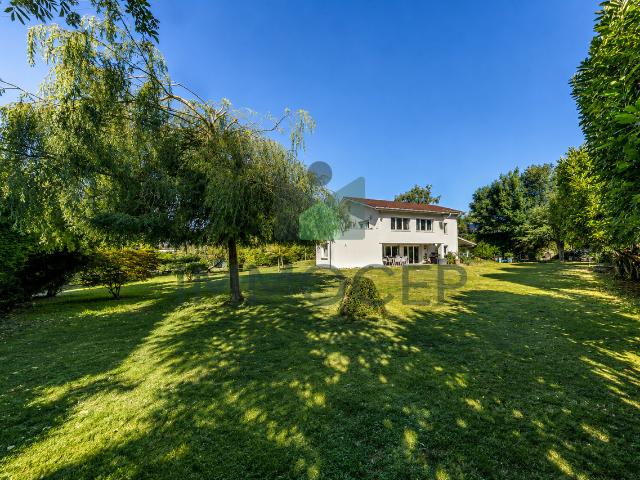 Haus kaufen in Founex, Waadt