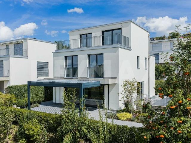Immobilie kaufen in Wettswil, Zürich