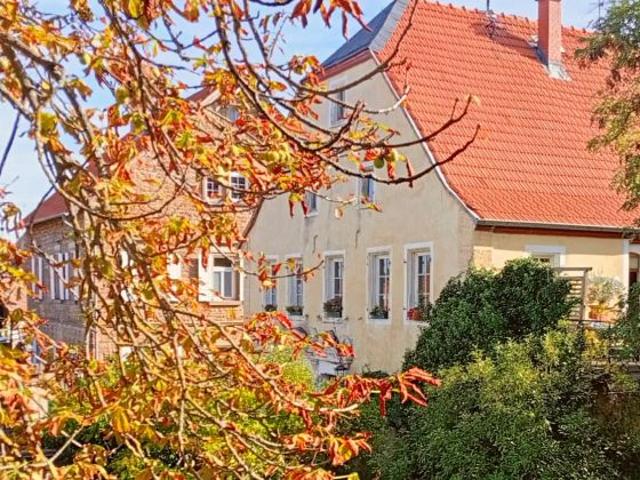 Haus kaufen in Flonheim, Landkreis Alzey-Worms