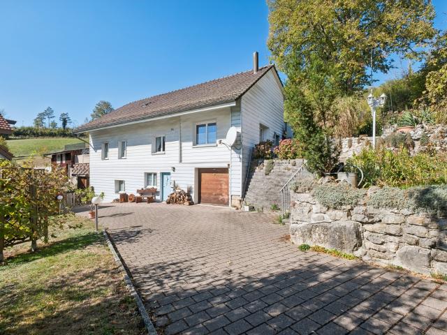 Haus kaufen in Hägendorf, Amtei Olten-Gösgen
