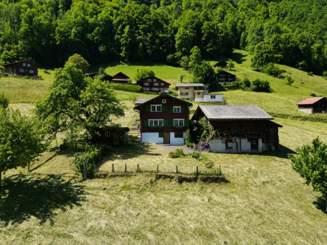 Immobilie kaufen in Nidfurn, Glarus