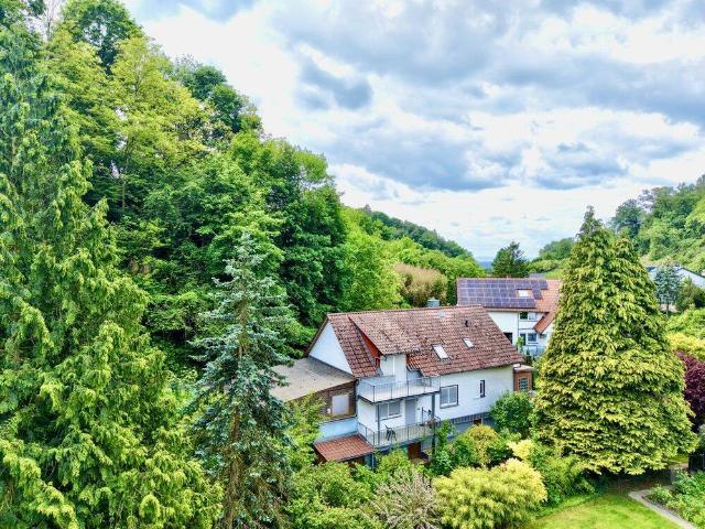 Haus kaufen in Laudenbach, Baden-Württemberg