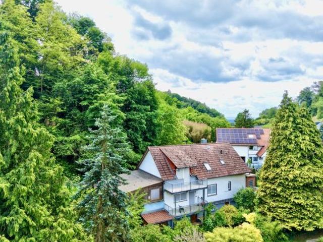 Haus kaufen in Laudenbach, Baden-Württemberg