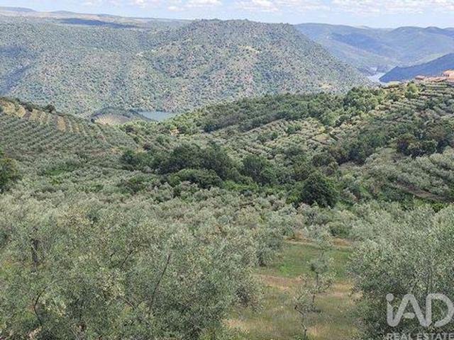 Terreno venda em Freixo Espada À Cinta, Bragança