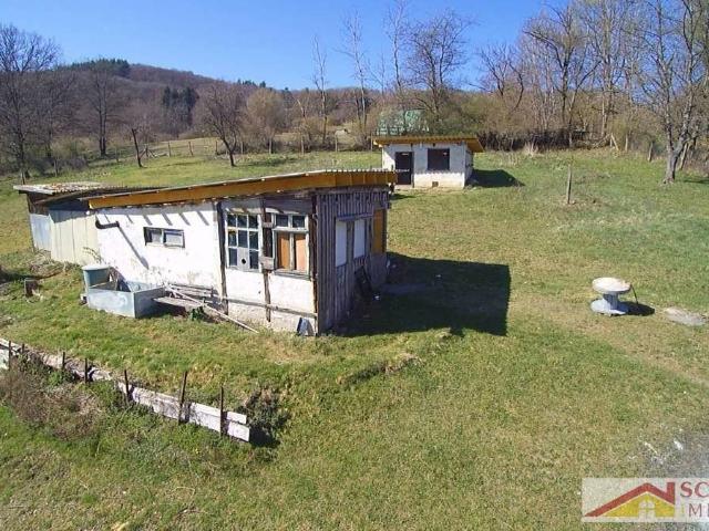 Erdgeschosswohnung kaufen in Biedenkopf, Hessen