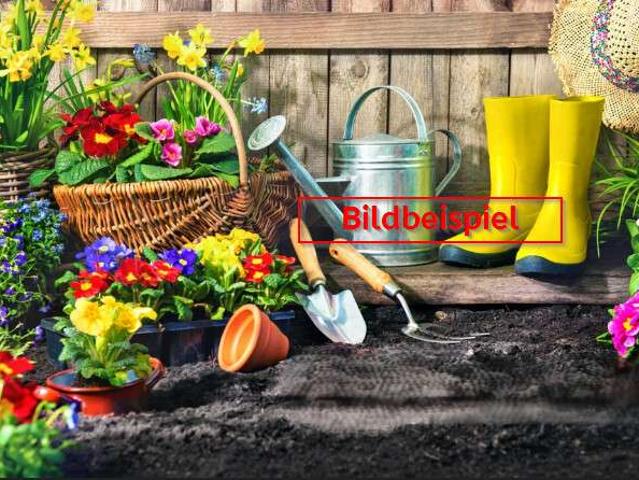 Erdgeschosswohnung kaufen in Mindelheim, Landkreis Unterallgäu