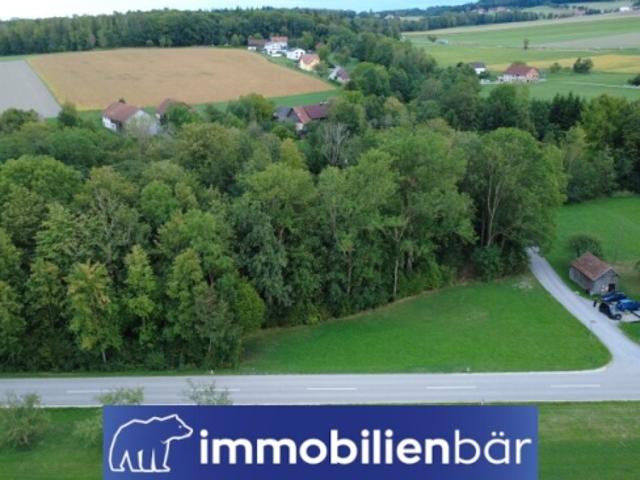 Grundstück kaufen in Geiersberg, Bezirk Ried