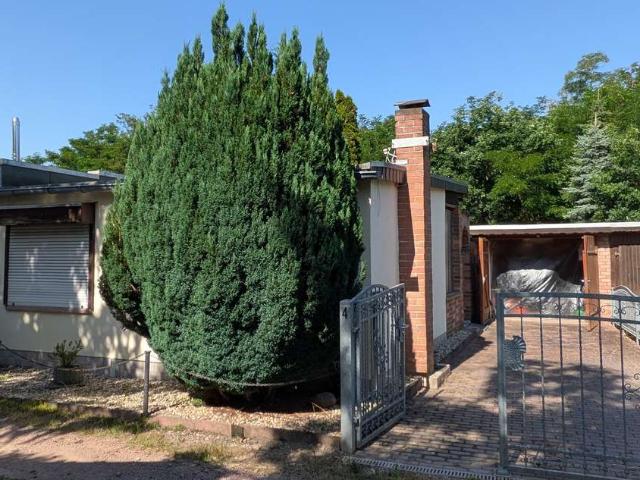 Haus kaufen in Osternienburger Land, Anhalt-Bitterfeld