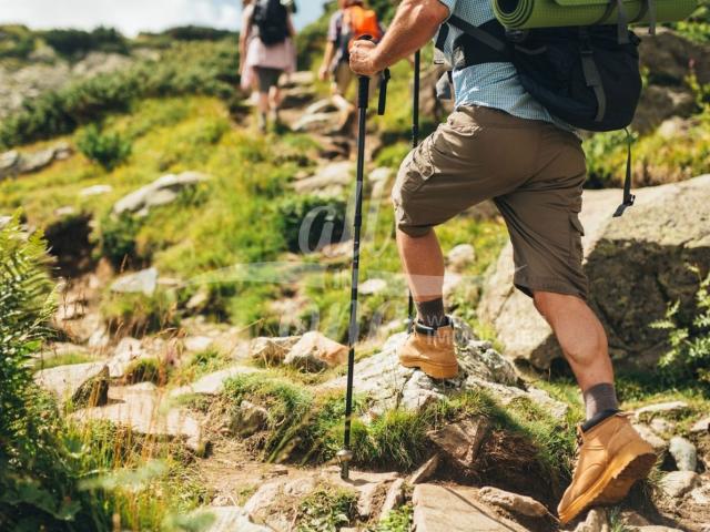 Grundstück kaufen in Kärnten