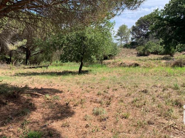 Terrain vente à Arrondissement de Draguignan, Fréjus