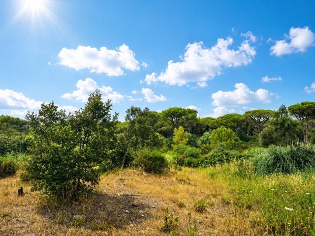 Terrain vente à Arrondissement de Draguignan, Fréjus