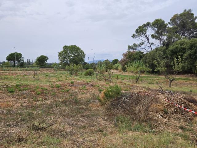Terrain vente à Arrondissement de Draguignan, Fréjus