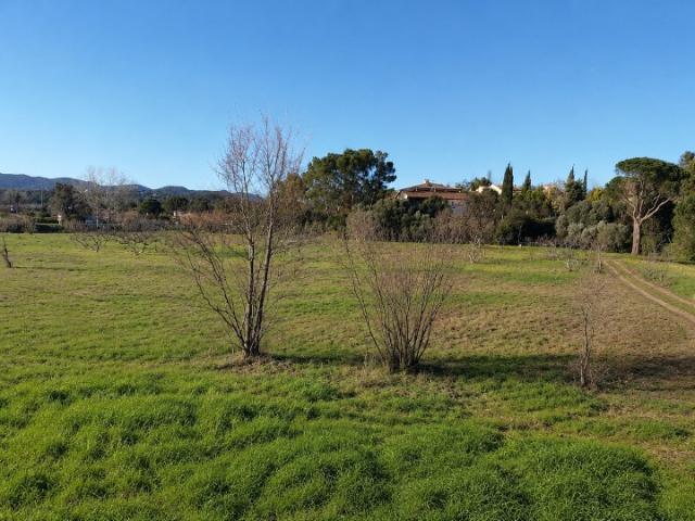 Terrain vente à Fréjus, Var