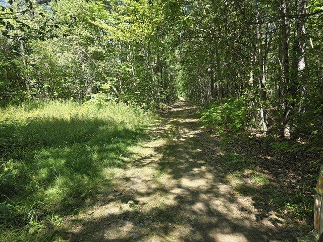 Land for sale in Levant, Penobscot County