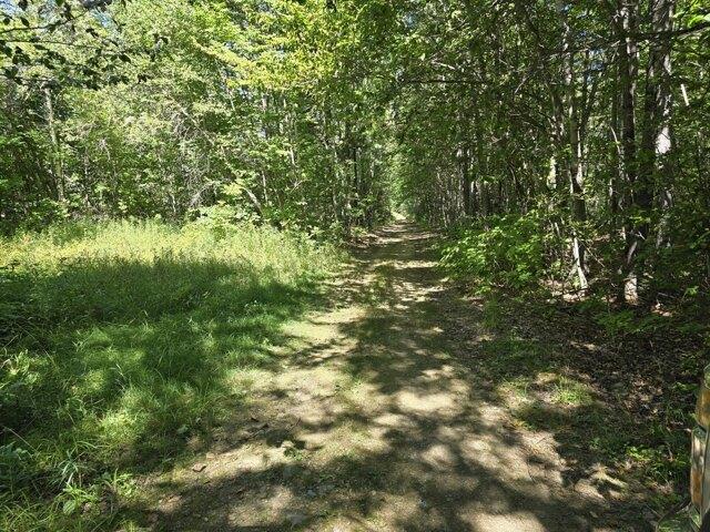 Land for sale in Levant, Penobscot County