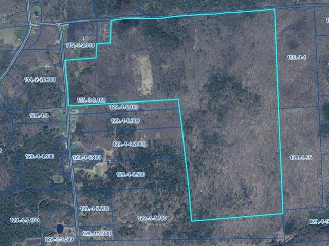 Land for sale in Franklin, New York