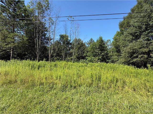 Land for sale in New York