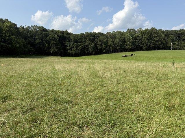 Land for sale in Russell Springs, Kentucky