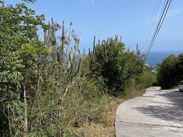 Land for sale in Saint Thomas, Missouri