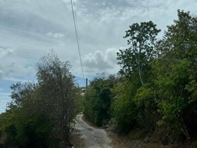 Land for sale in Saint Thomas, Missouri