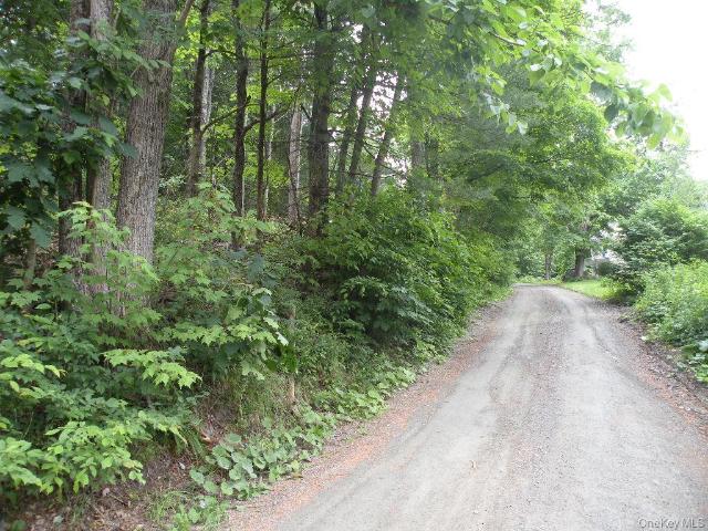 Land for sale in East Nassau, New York