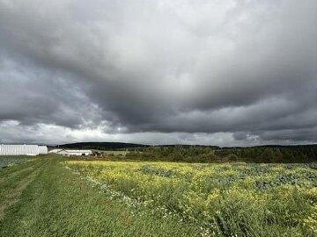 Land for sale in Frenchville, Maine