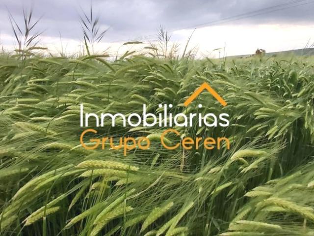 Terreno en venta en Santo Domingo De La Calzada, La Rioja