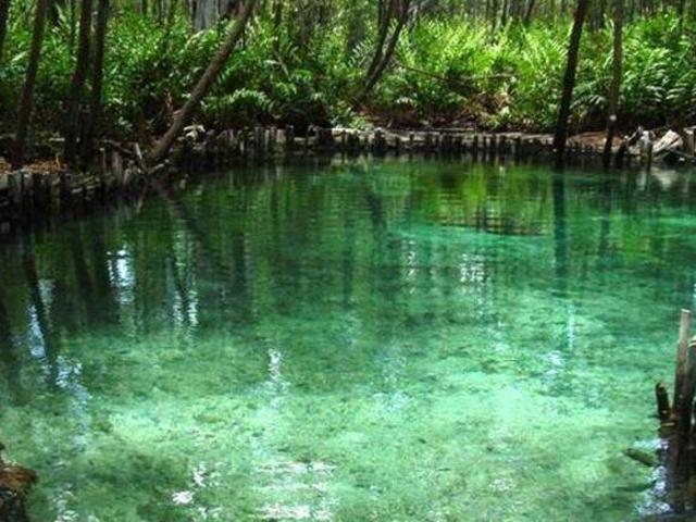Terreno en venta en Celestún, Yucatán