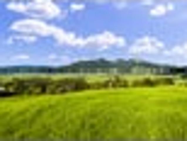 Land for sale in Whangarei, Northland