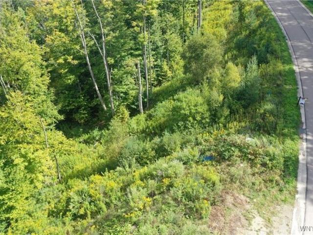 Land for sale in Ellicottville