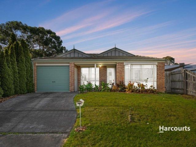 House for sale in Camerons Creek, Victoria