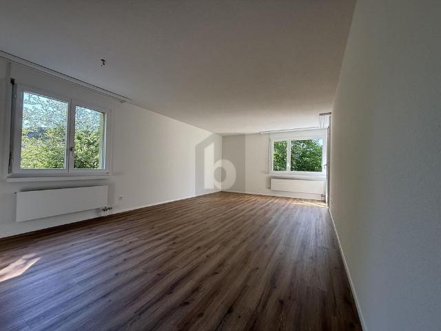 Apartment mieten in Fahrwangen, Aargau