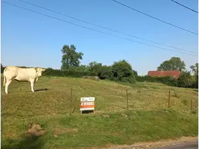 Terrain vente à Montreuil-sur-Mer, Fressin