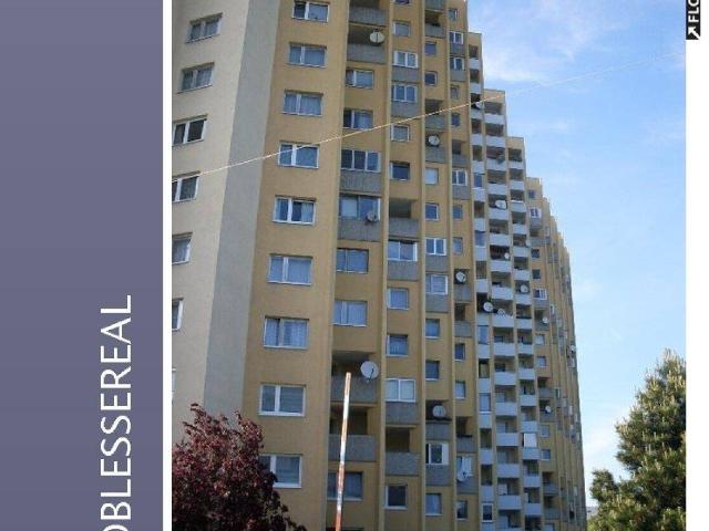 Apartment mieten in Donaustadt, Wien