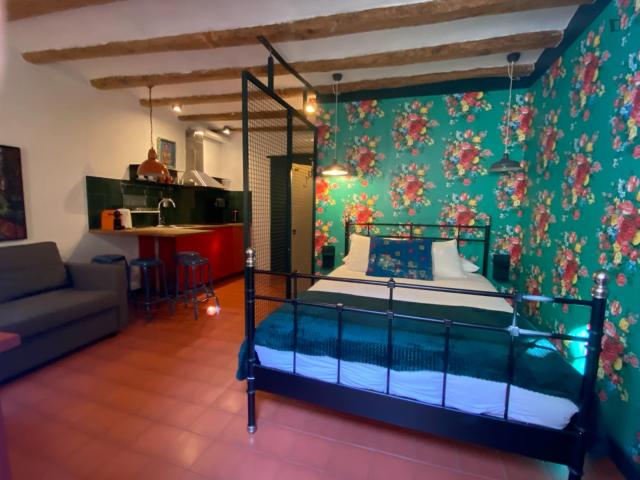 Estudio en alquiler en Ciutat Vella, Barcelonès