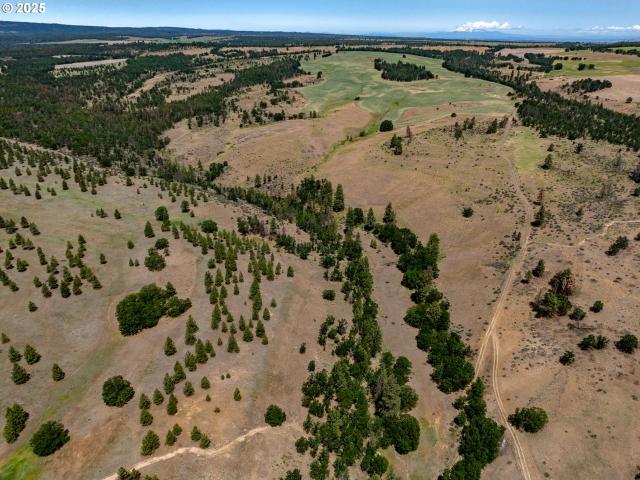 Land for sale in Oregonia