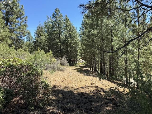 Land for sale in Oregonia