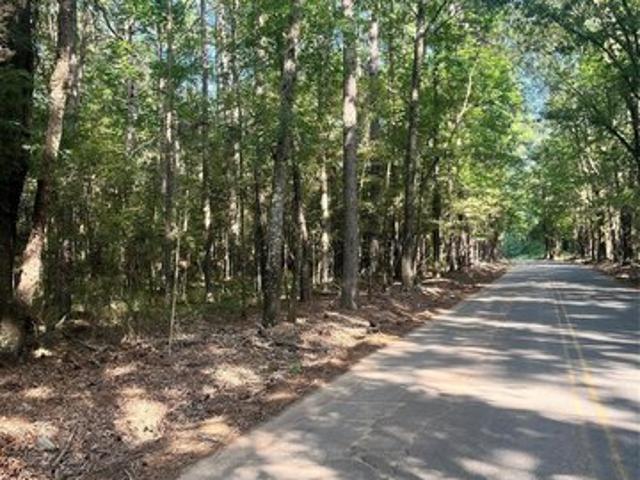 Land for sale in De Soto, Louisiana