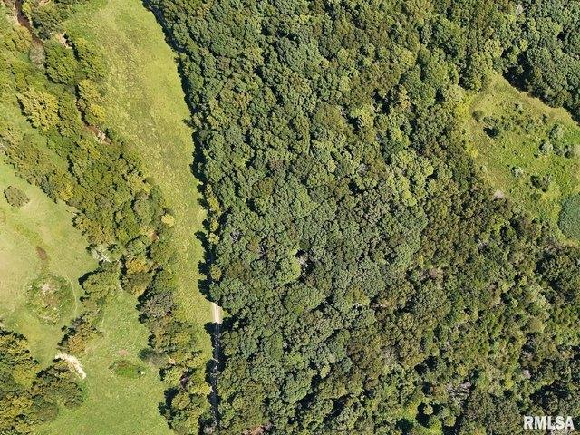 Land for sale in Goreville, Illinois