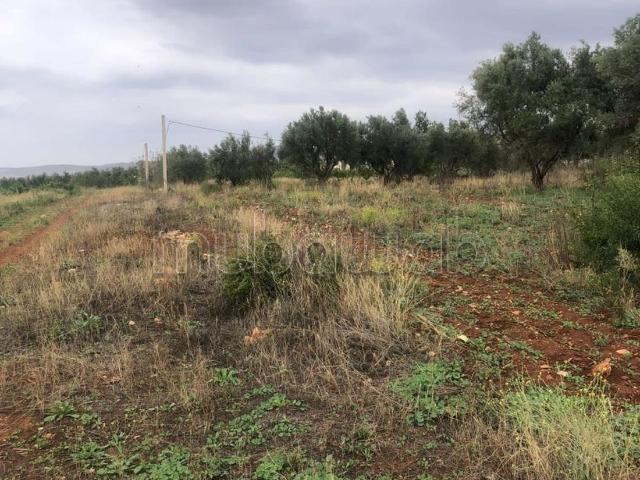 Local commercial vente
