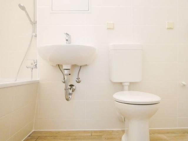 Apartment mieten in Neu Olvenstedt, Magdeburg