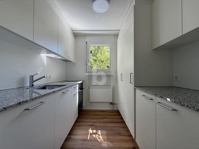 Wohnung mieten in Fahrwangen, Aargau