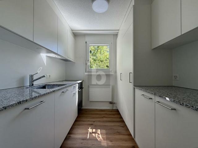 Wohnung mieten in Fahrwangen, Aargau