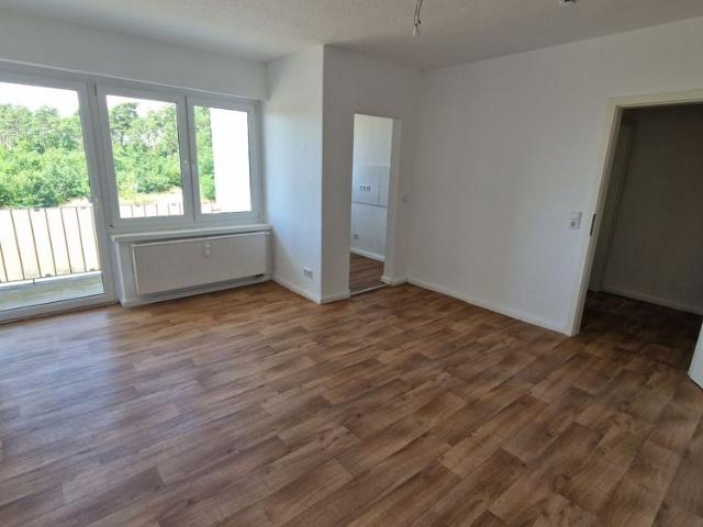 Apartment mieten in Apollensdorf, Wittenberg