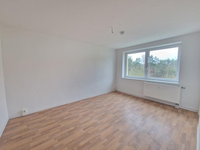 Apartment mieten in Roßlau, Sachsen-Anhalt