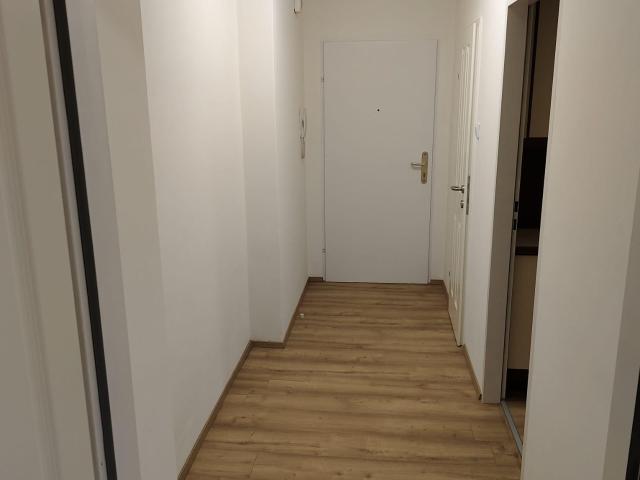Apartment mieten in Traiskirchen, Niederösterreich