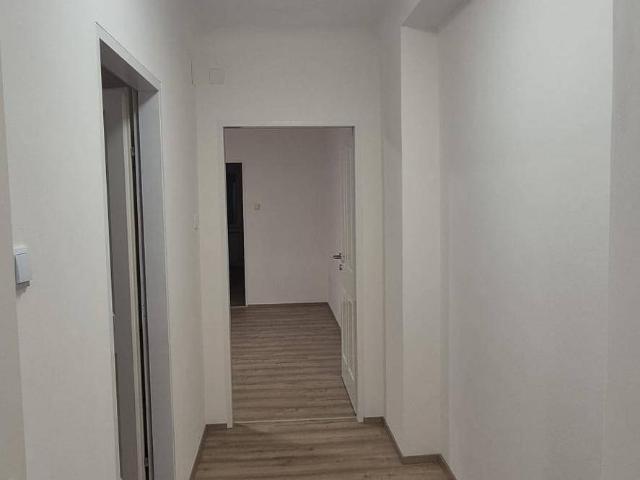 Apartment mieten in Traiskirchen, Niederösterreich