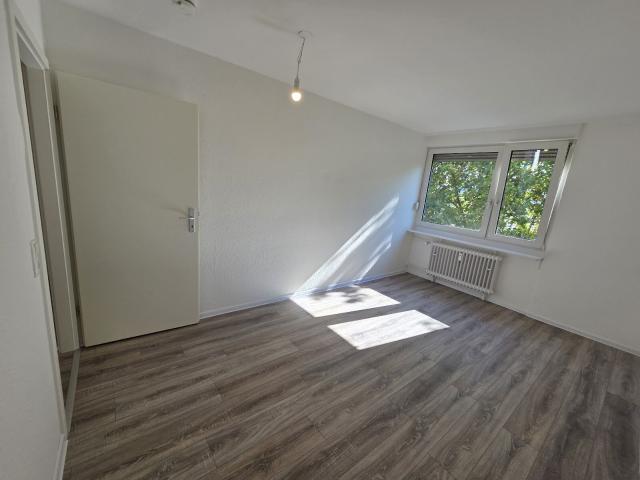 Apartment mieten in Kaiserslautern, Rheinland-Pfalz