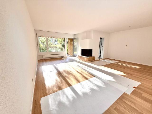 Apartment mieten in Einigen, Zürich